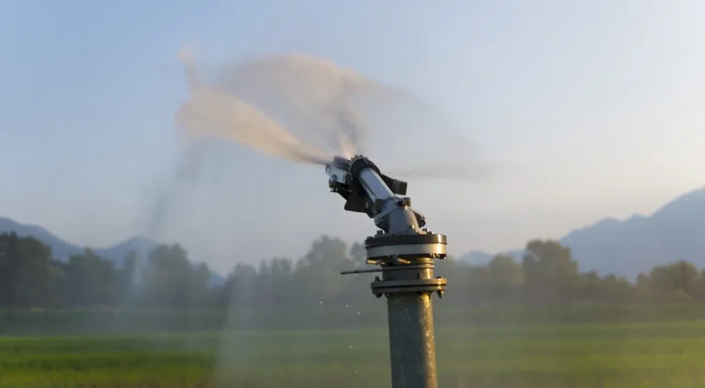 Sprinkler Repair Tips From a Top Columbia, SC Maintenance Pro