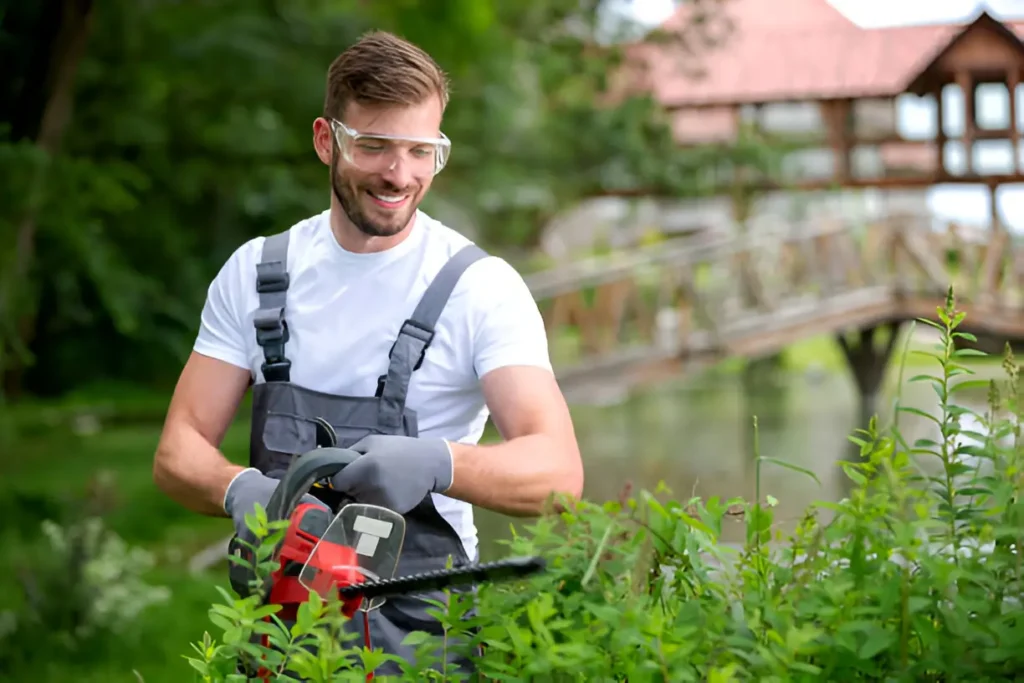 Discover the Leading Tree Care Experts with NexGen Tree Services